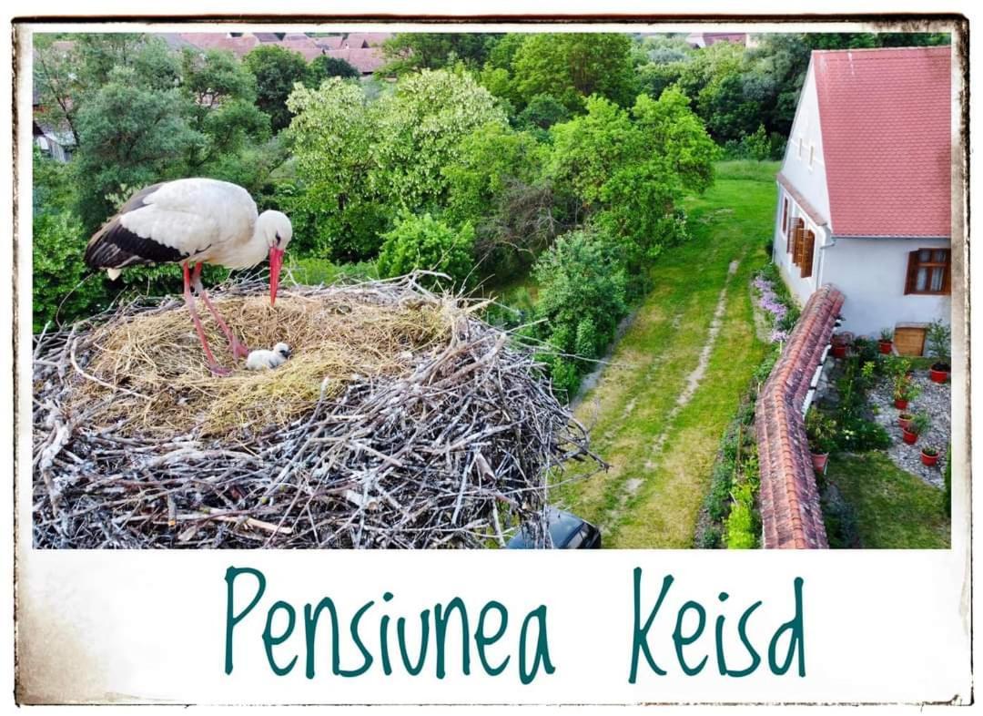 Pensiunea Keisd Szászkézd Kültér fotó