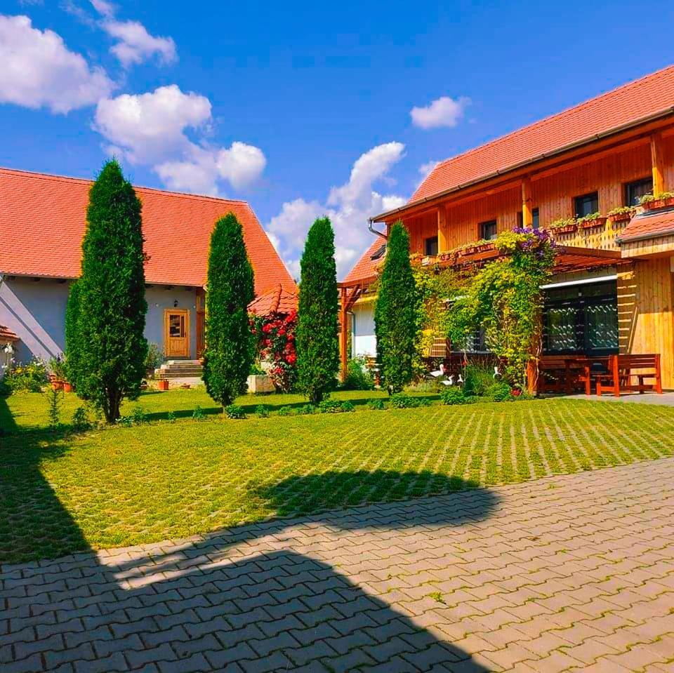 Pensiunea Keisd Szászkézd Kültér fotó